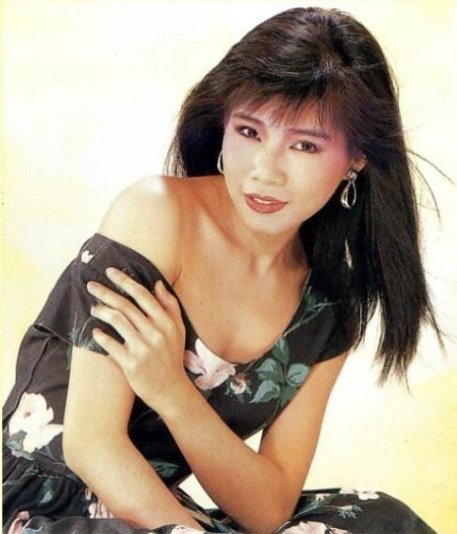 跪求 韩宝仪-1988 精选集 第四辑[风格唱片]音乐专辑百度云网盘