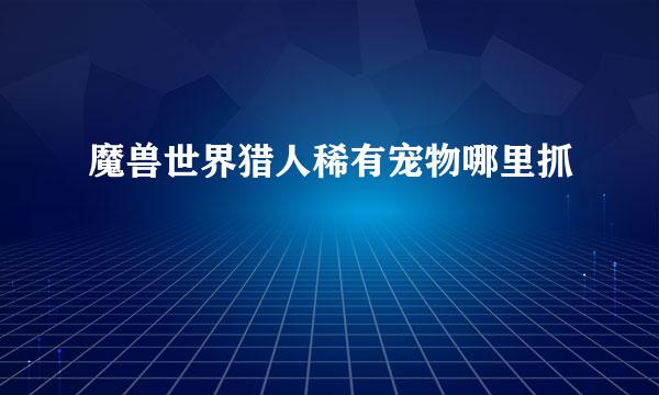 魔兽世界猎人稀有宠物哪里抓