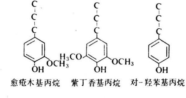 什么是木质来自素?