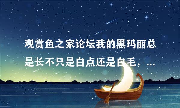 观赏鱼之家论坛我的黑玛丽总是长不只是白点还是白毛，怎么回事？怎么办呢？