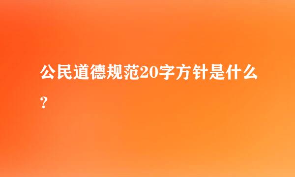 公民道德规范20字方针是什么？