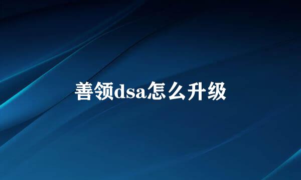 善领dsa怎么升级