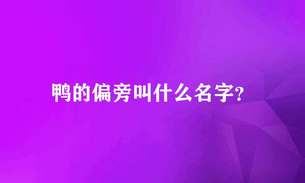 鸭的偏旁叫什么名字？