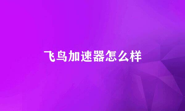 飞鸟加速器怎么样