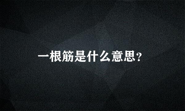 一根筋是什么意思？