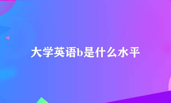 大学英语b是什么水平
