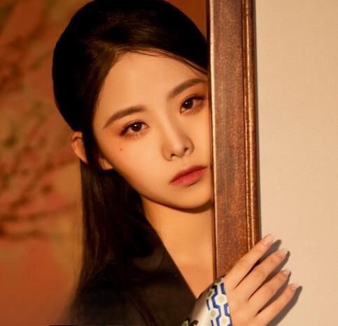 王婷为什么改名发去均又董颜 董颜和张嘉倪什么关系长得好像