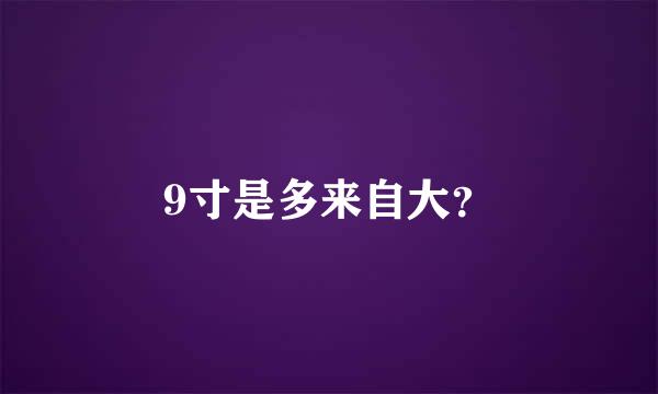 9寸是多来自大？