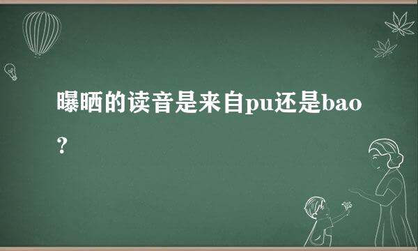 曝晒的读音是来自pu还是bao？