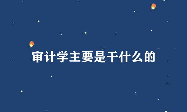 审计学主要是干什么的
