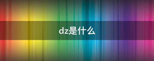 dz是什么