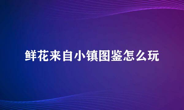 鲜花来自小镇图鉴怎么玩