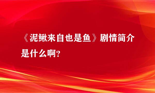 《泥鳅来自也是鱼》剧情简介是什么啊？