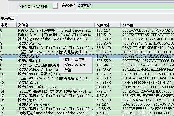 迅雷来自磁力链接的前缀是什么？