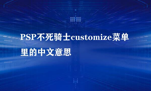 PSP不死骑士customize菜单里的中文意思