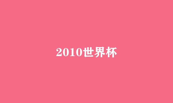 2010世界杯
