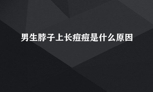 男生脖子上长痘痘是什么原因