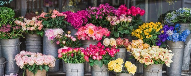 春有百花秋有月全诗解释