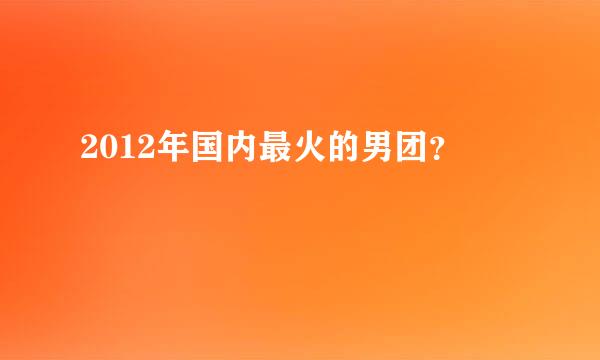 2012年国内最火的男团？