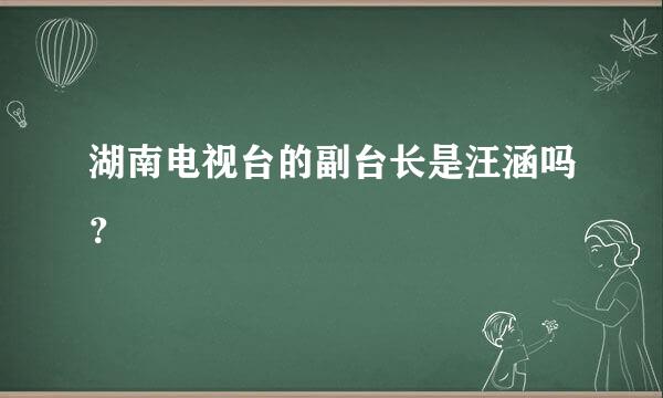湖南电视台的副台长是汪涵吗？