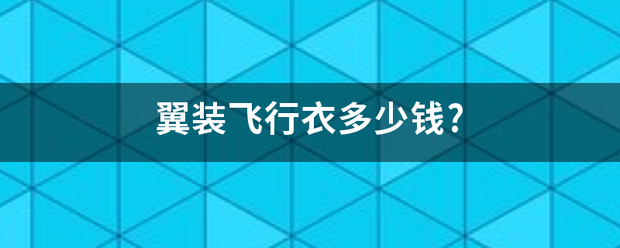 翼装飞行衣多少钱?