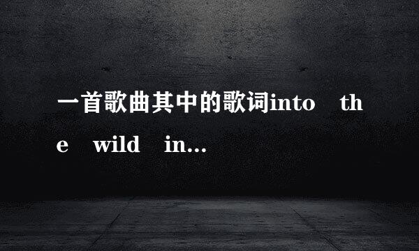 一首歌曲其中的歌词into the wild into the wild