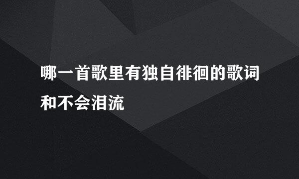 哪一首歌里有独自徘徊的歌词和不会泪流