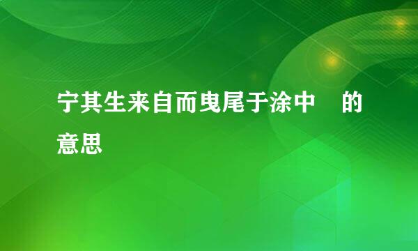 宁其生来自而曳尾于涂中 的意思