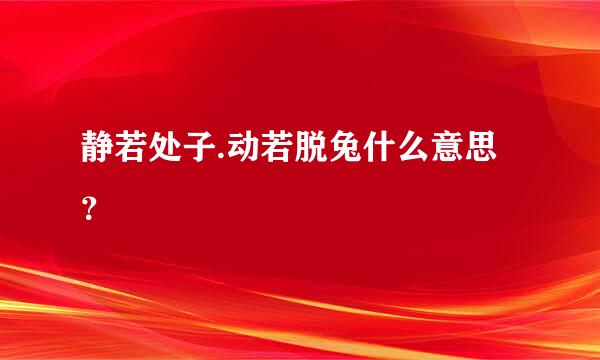 静若处子.动若脱兔什么意思？