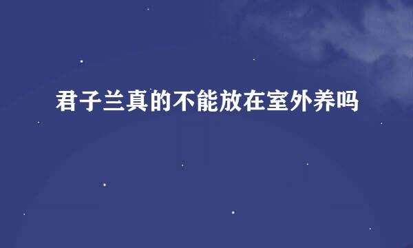 君子兰真的不能放在室外养吗
