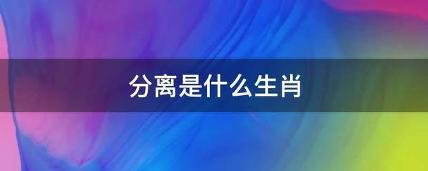 分离是什么生肖