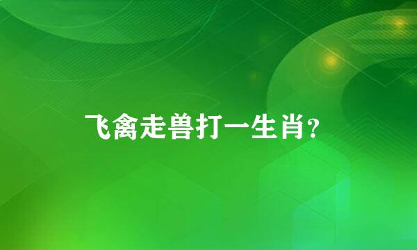 飞禽走兽打一生肖？