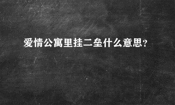 爱情公寓里挂二垒什么意思？