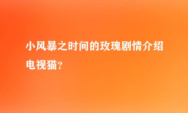 小风暴之时间的玫瑰剧情介绍电视猫？