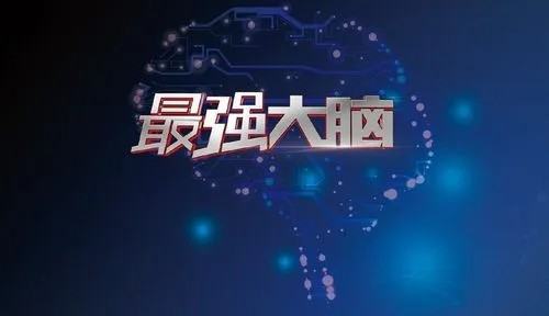 最强大脑第九季最终排名