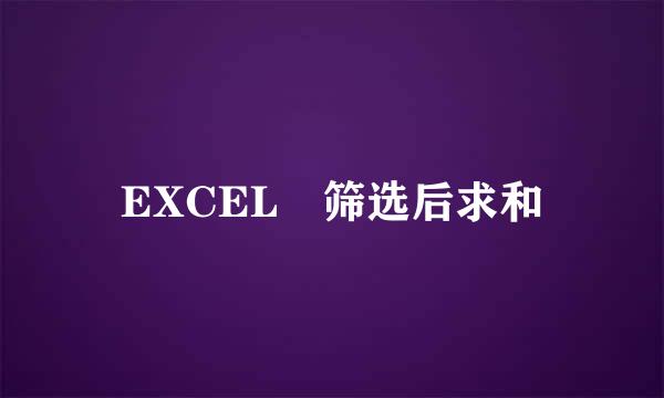 EXCEL 筛选后求和