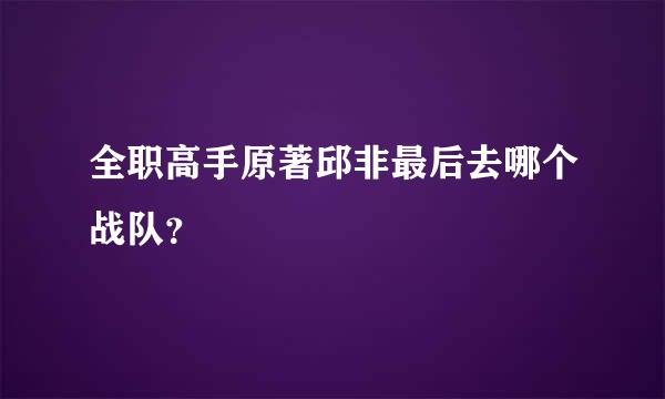 全职高手原著邱非最后去哪个战队？