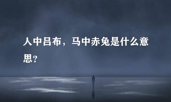 人中吕布，马中赤兔是什么意思？