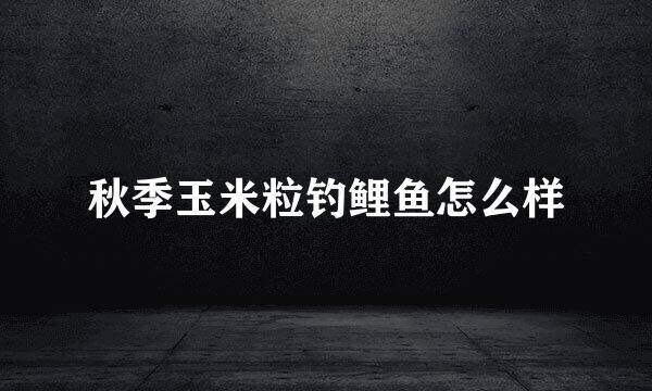 秋季玉米粒钓鲤鱼怎么样