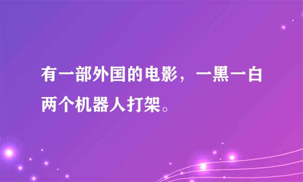 有一部外国的电影，一黑一白两个机器人打架。