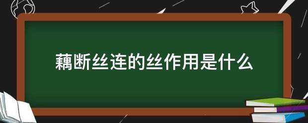 藕断丝来自连的丝作用是什么