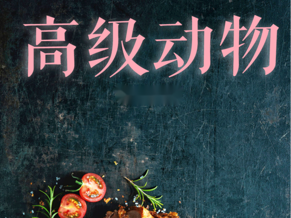 窦唯经典10首