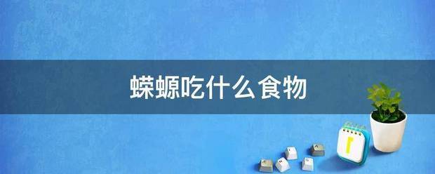 蝾螈吃什么食物