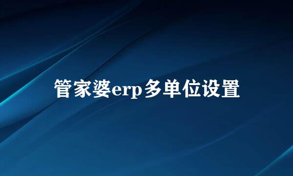 管家婆erp多单位设置