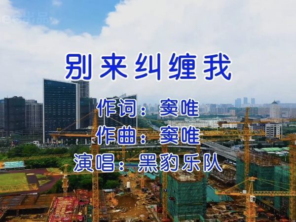 窦唯经典10首