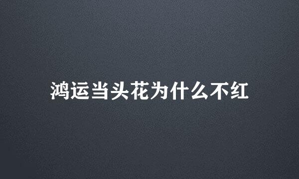 鸿运当头花为什么不红