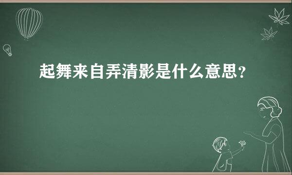 起舞来自弄清影是什么意思？
