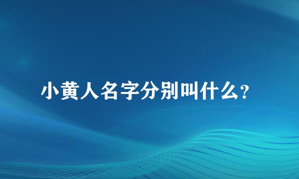 小黄人名字分别叫什么？