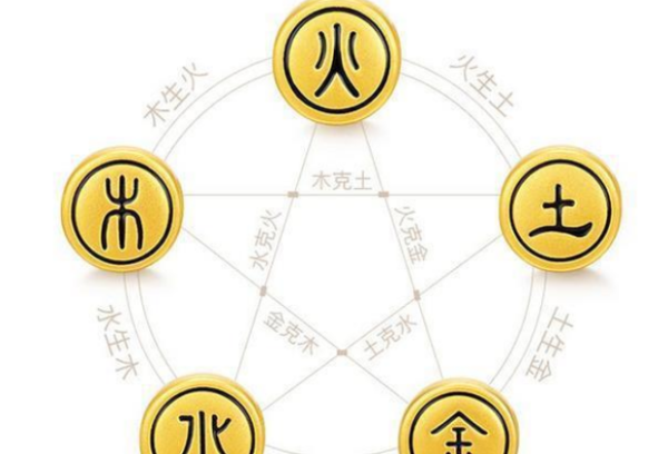 金克木什么意思