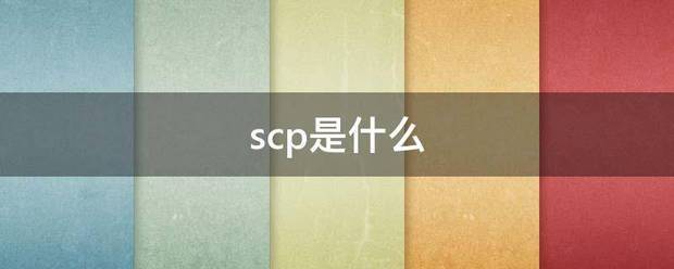 sc子才p是什么